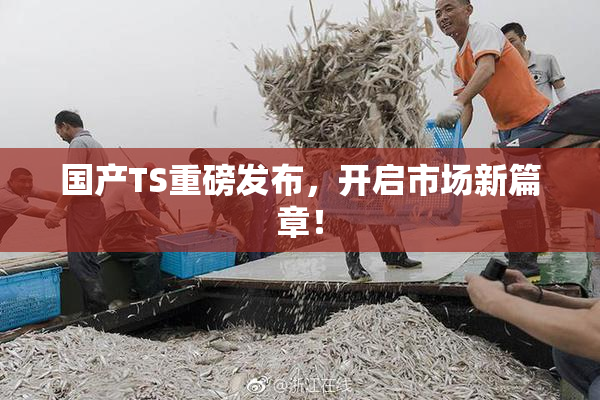 国产TS重磅发布，开启市场新篇章！