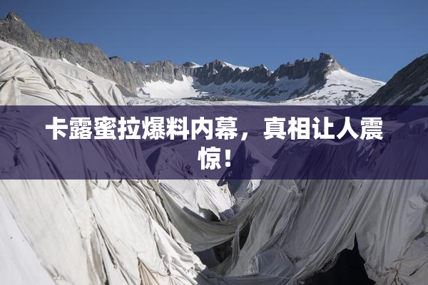 卡露蜜拉爆料内幕，真相让人震惊！