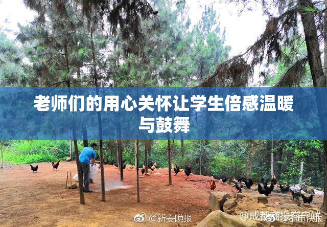 老师们的用心关怀让学生倍感温暖与鼓舞