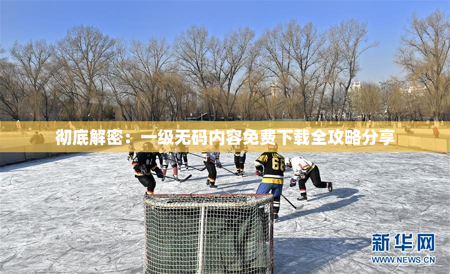 彻底解密：一级无码内容免费下载全攻略分享