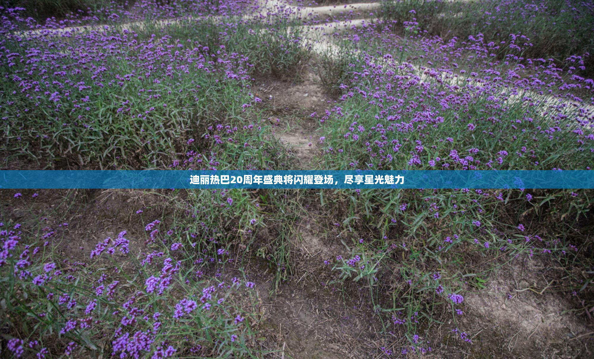 迪丽热巴20周年盛典将闪耀登场，尽享星光魅力