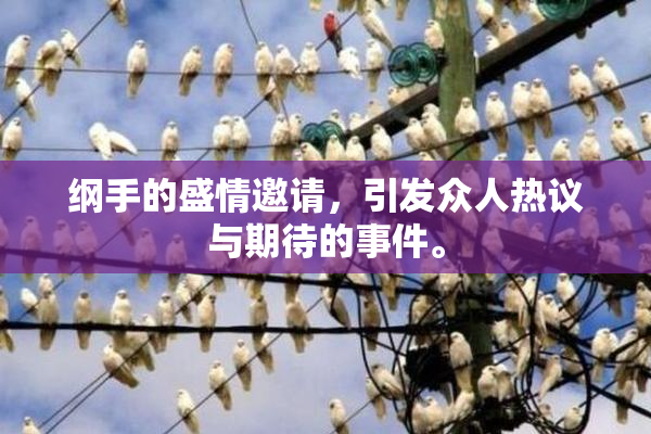 纲手的盛情邀请，引发众人热议与期待的事件。