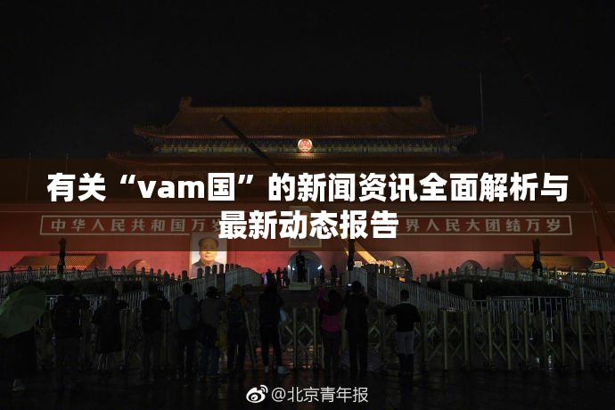 有关“vam国”的新闻资讯全面解析与最新动态报告