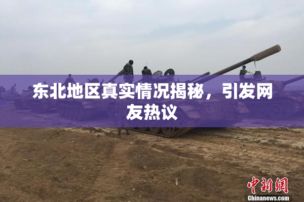 东北地区真实情况揭秘，引发网友热议