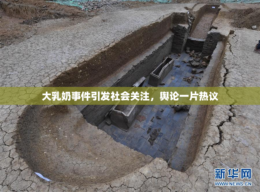大乳奶事件引发社会关注，舆论一片热议