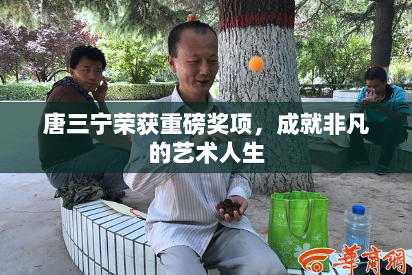唐三宁荣获重磅奖项，成就非凡的艺术人生