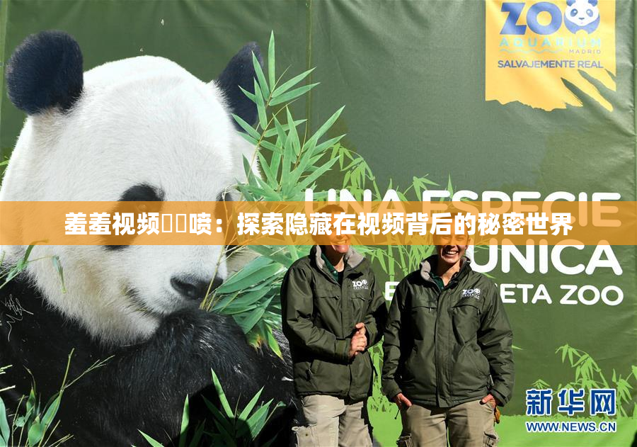 羞羞视频❌‌喷：探索隐藏在视频背后的秘密世界