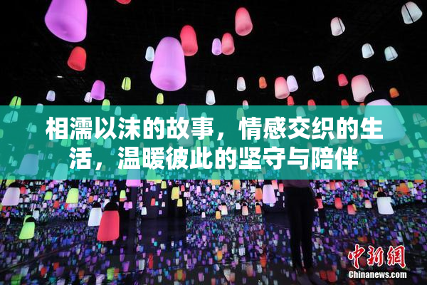 相濡以沫的故事，情感交织的生活，温暖彼此的坚守与陪伴