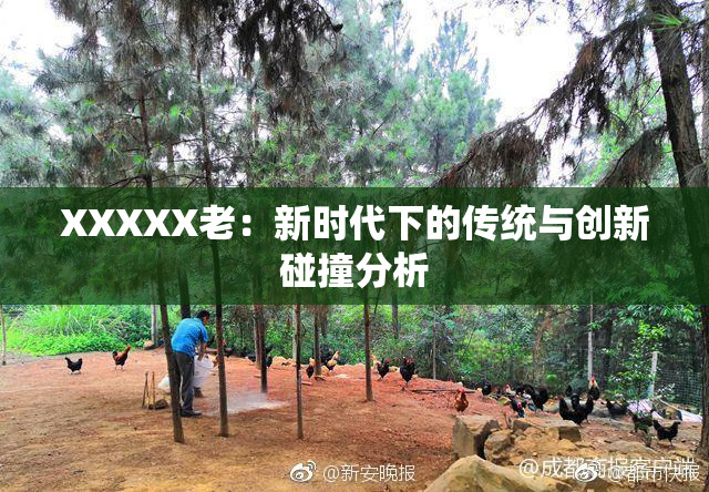 XXXXX老：新时代下的传统与创新碰撞分析