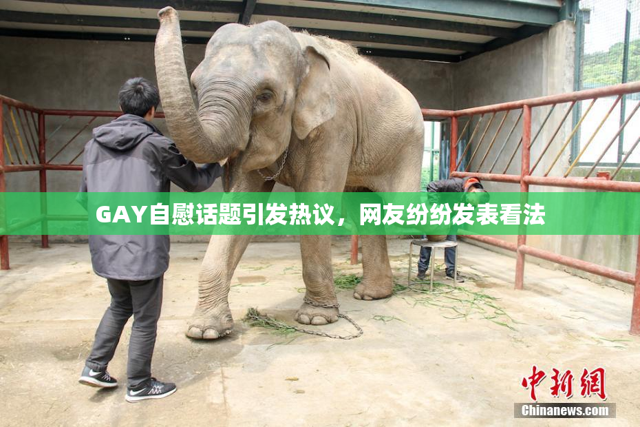 GAY自慰话题引发热议，网友纷纷发表看法