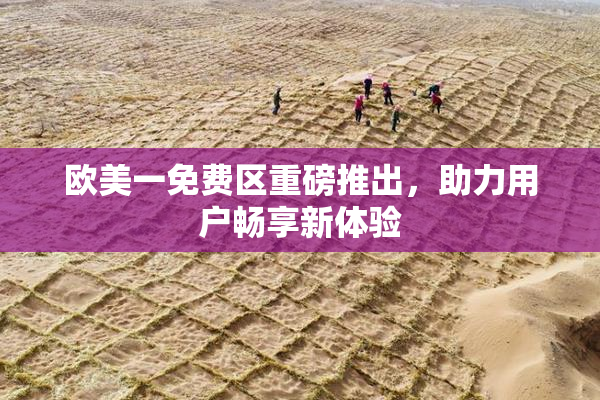 欧美一免费区重磅推出，助力用户畅享新体验