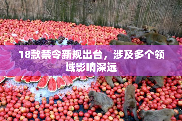 18款禁令新规出台，涉及多个领域影响深远