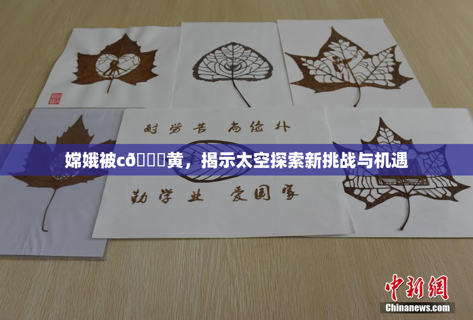 嫦娥被c🔞黄，揭示太空探索新挑战与机遇