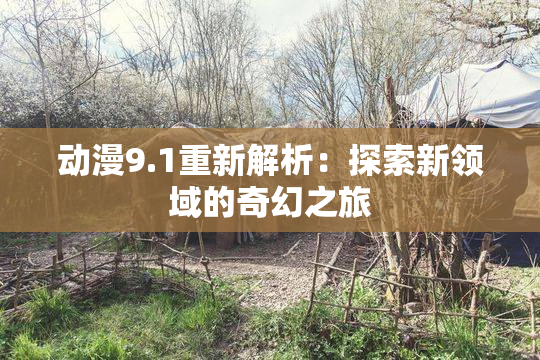动漫9.1重新解析：探索新领域的奇幻之旅