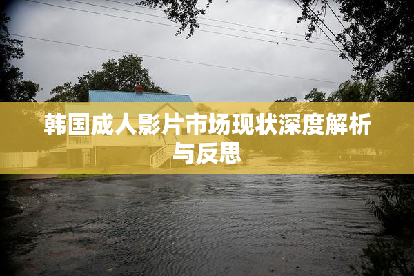 韩国成人影片市场现状深度解析与反思