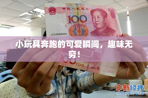 小玩具奔跑的可爱瞬间，趣味无穷！