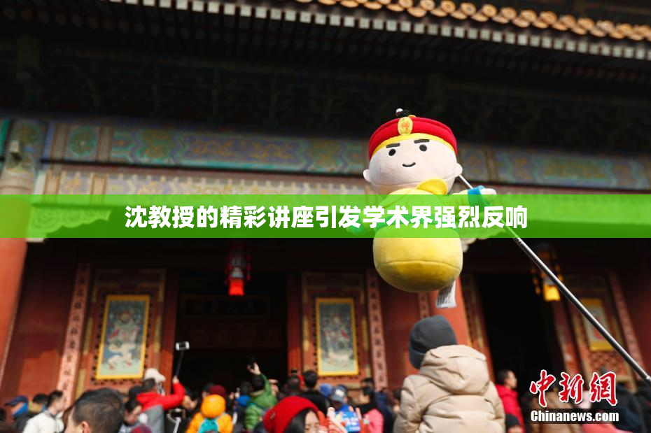 沈教授的精彩讲座引发学术界强烈反响