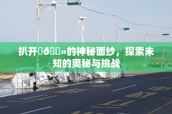 扒开‌🐻的神秘面纱，探索未知的奥秘与挑战