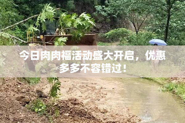 今日肉肉福活动盛大开启，优惠多多不容错过！