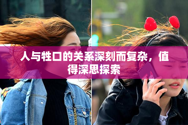 人与牲口的关系深刻而复杂，值得深思探索