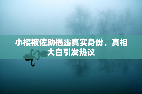 小樱被佐助揭露真实身份，真相大白引发热议