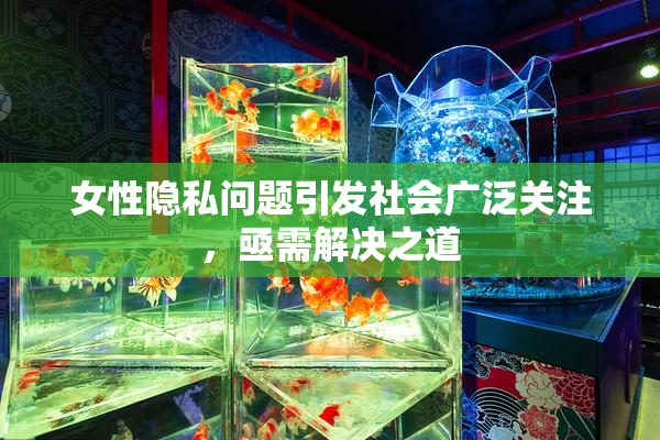 女性隐私问题引发社会广泛关注，亟需解决之道