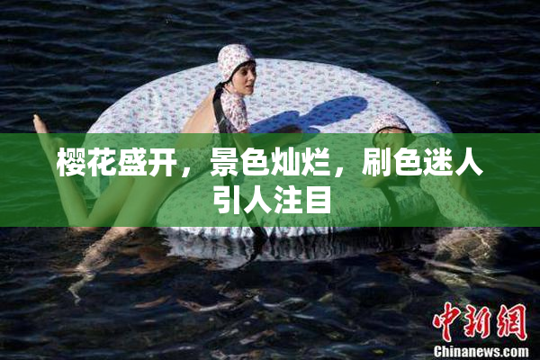 樱花盛开，景色灿烂，刷色迷人引人注目