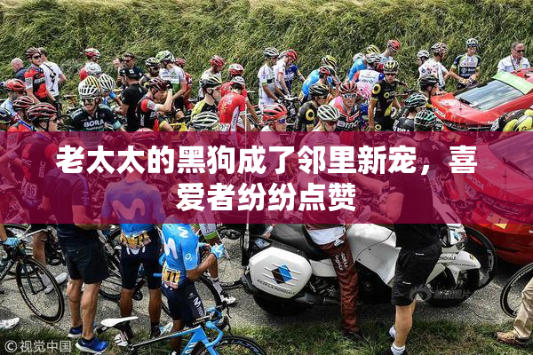 老太太的黑狗成了邻里新宠，喜爱者纷纷点赞