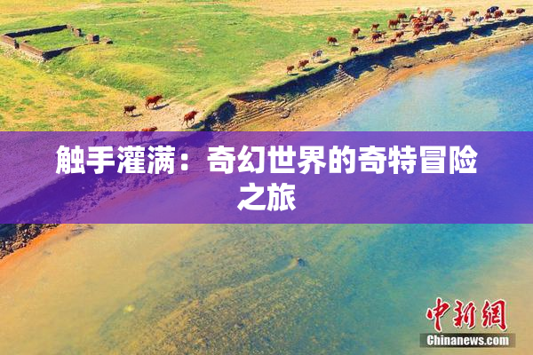 触手灌满：奇幻世界的奇特冒险之旅