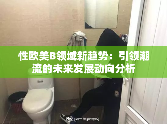 性欧美B领域新趋势：引领潮流的未来发展动向分析
