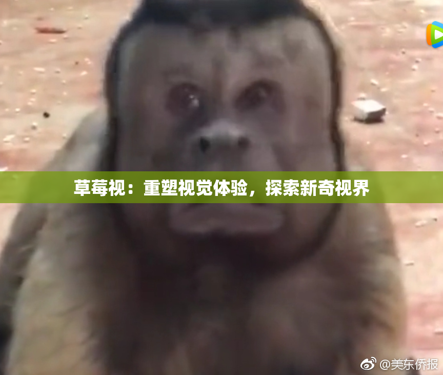草莓视：重塑视觉体验，探索新奇视界