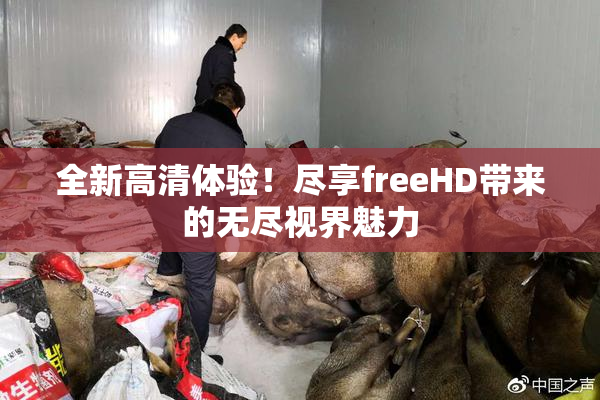 全新高清体验！尽享freeHD带来的无尽视界魅力
