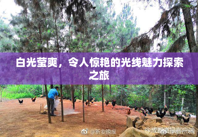 白光莹爽，令人惊艳的光线魅力探索之旅