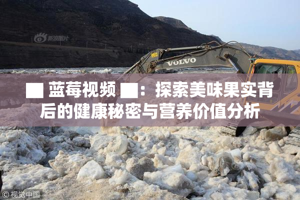 ▇ 蓝莓视频 ▇：探索美味果实背后的健康秘密与营养价值分析