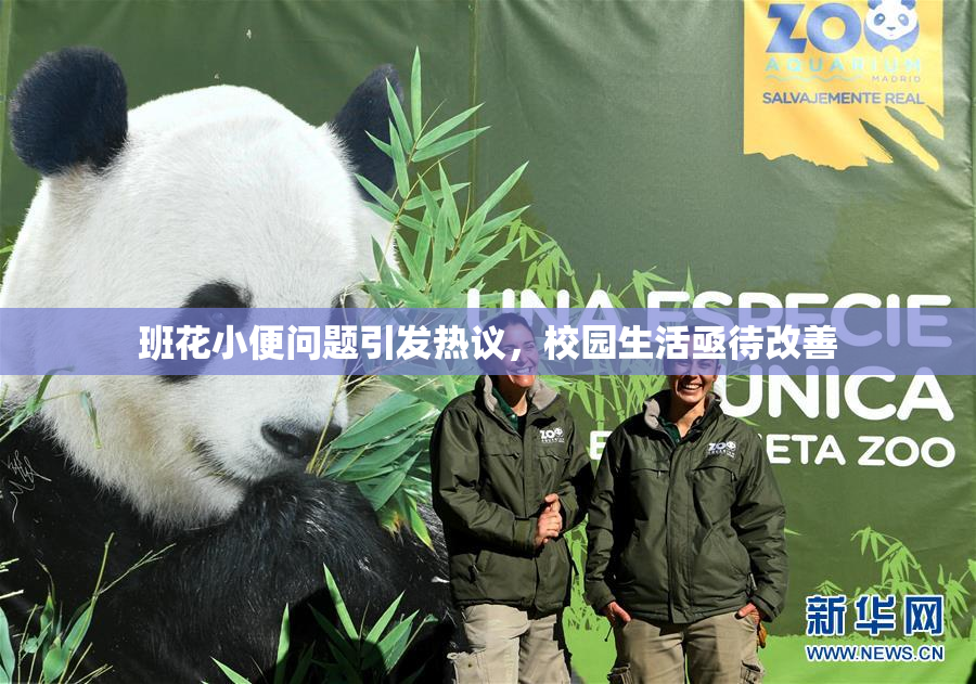 班花小便问题引发热议，校园生活亟待改善