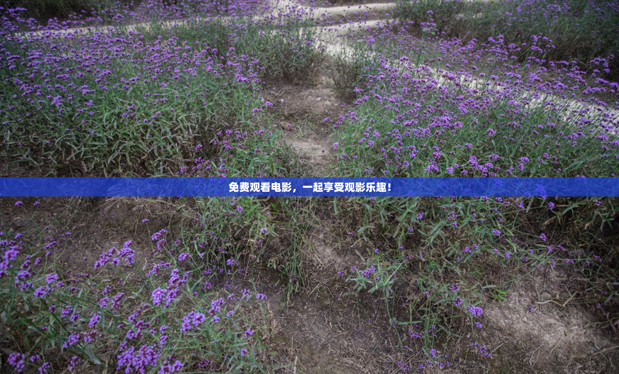 免费观看电影，一起享受观影乐趣！