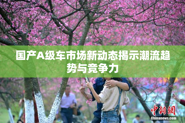 国产A级车市场新动态揭示潮流趋势与竞争力