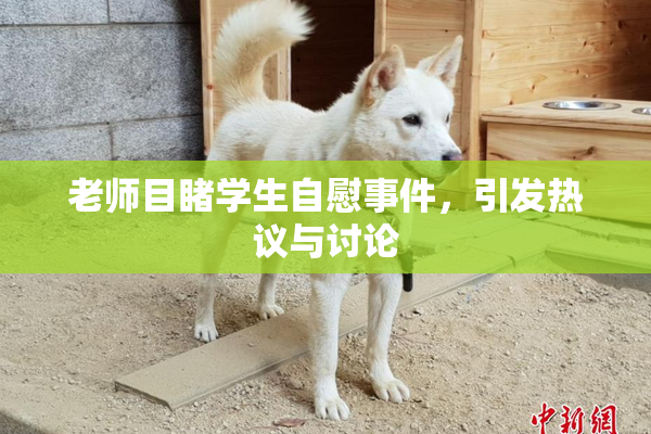 老师目睹学生自慰事件，引发热议与讨论