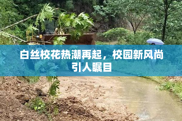 白丝校花热潮再起，校园新风尚引人瞩目