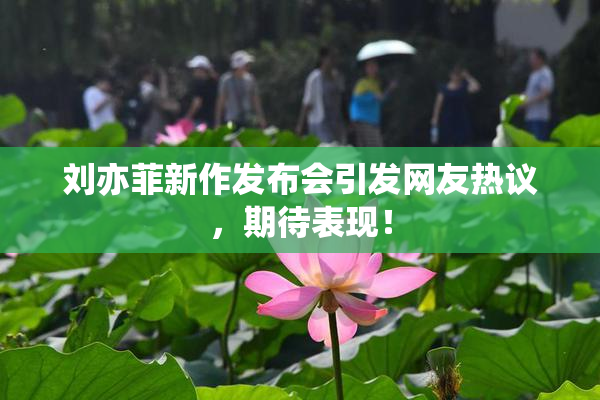 刘亦菲新作发布会引发网友热议，期待表现！