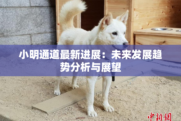 小明通道最新进展：未来发展趋势分析与展望