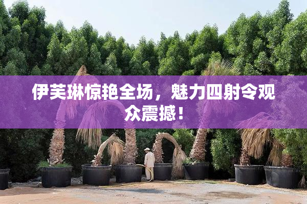 伊芙琳惊艳全场，魅力四射令观众震撼！