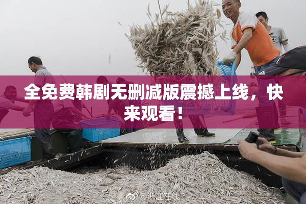 全免费韩剧无删减版震撼上线，快来观看！