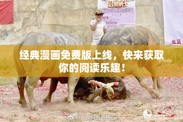 经典漫画免费版上线，快来获取你的阅读乐趣！
