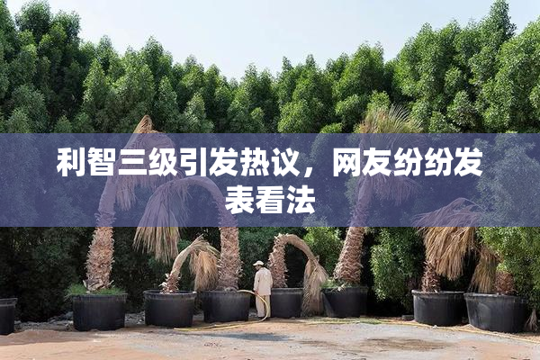 利智三级引发热议，网友纷纷发表看法