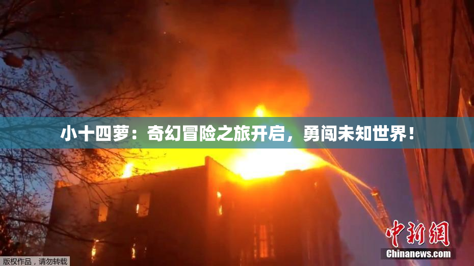小十四萝：奇幻冒险之旅开启，勇闯未知世界！