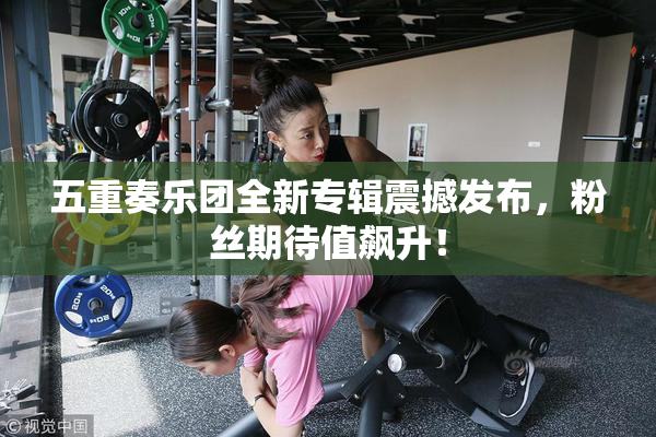 五重奏乐团全新专辑震撼发布，粉丝期待值飙升！
