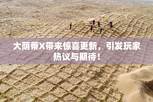大荫蒂X带来惊喜更新，引发玩家热议与期待！