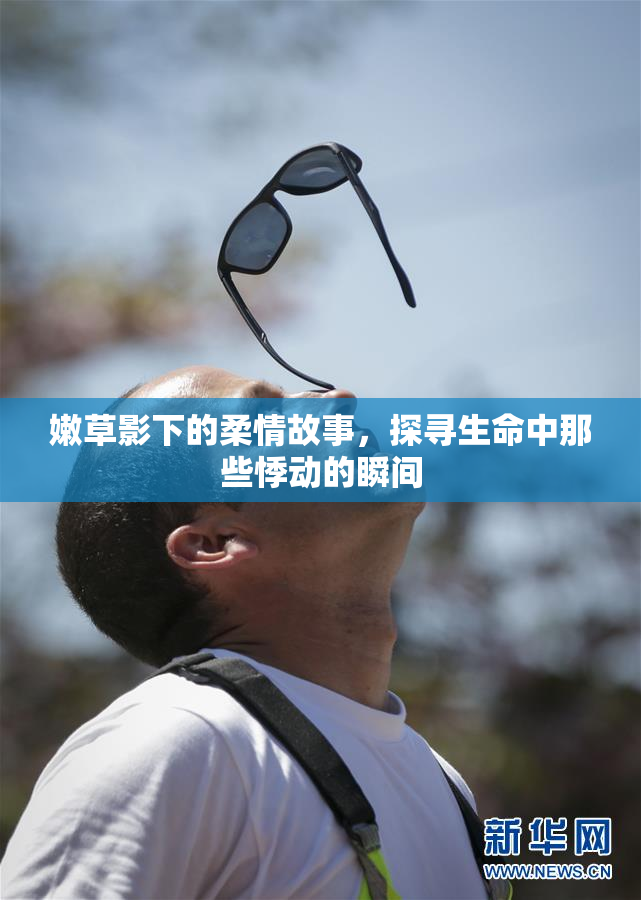 嫩草影下的柔情故事，探寻生命中那些悸动的瞬间