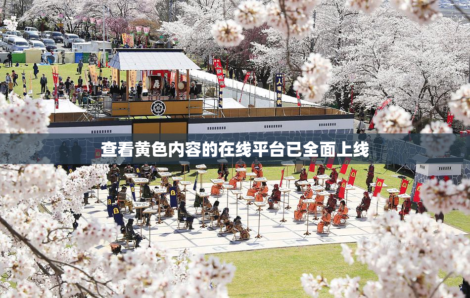 查看黄色内容的在线平台已全面上线